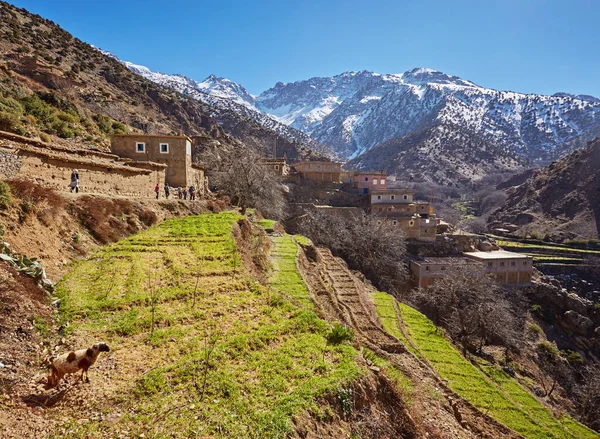 Marruecos Alto Atlas Paisaje Valle Cerca Marrakech Camino Ouarzazate Spingtime — Foto de Stock