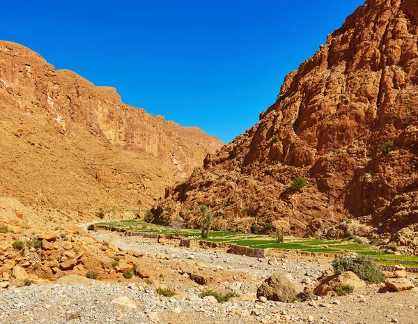 Todgha Gorge Kaňon Pohoří Vysoký Atlas Maroku — Stock fotografie