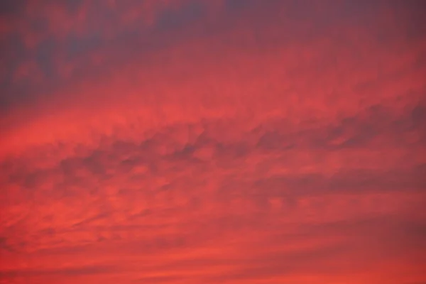 Evening Sky Sunset Sky Background Fantastic Nature Background Dramatic Bright — Stock Photo, Image