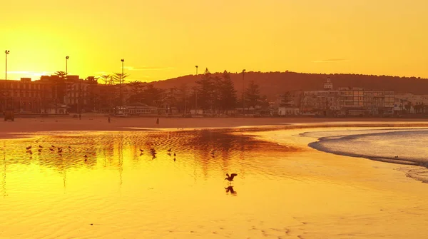 Belo Céu Costa Mar Oceano Amanhecer Marrocos Essaouira — Fotografia de Stock