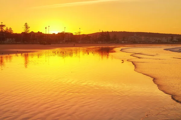 Sonnenaufgang Frühen Morgen Über Dem Meer Und Den Vögeln Marokko — Stockfoto