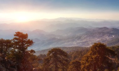 Rocky Dağları ve çam ağacı orman iz Ridge Road görünümü
