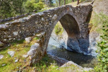 Ünlü eski Venedik taş köprü, Elia, Troodos Dağları, Kıbrıs