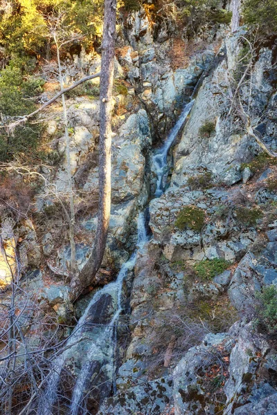 Mountain River Landscape Silky Smooth Stream Clear Water Small Cascades — Stock Photo, Image