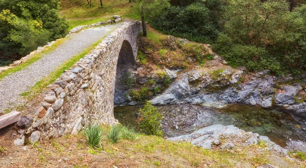 Slavné Starověké Benátské Kamenný Most Elia Pohoří Troodos Kypr — Stock fotografie