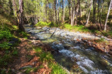 Küçük şelaleler Troodos Dağları, Kıbrıs oluşturma bir dağ nehir akan su