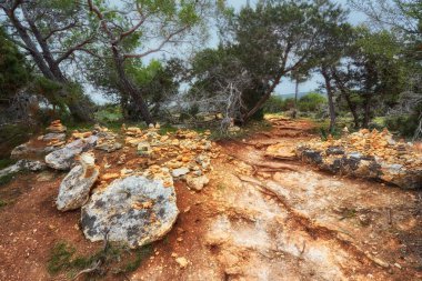 Afrodit iz Kıbrıs denizde. Ardıç ağacı