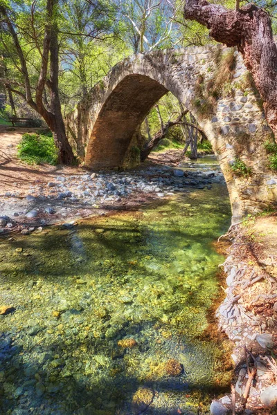 Mittelalterliche Venezianische Brücke Zypern Sommerwald — Stockfoto