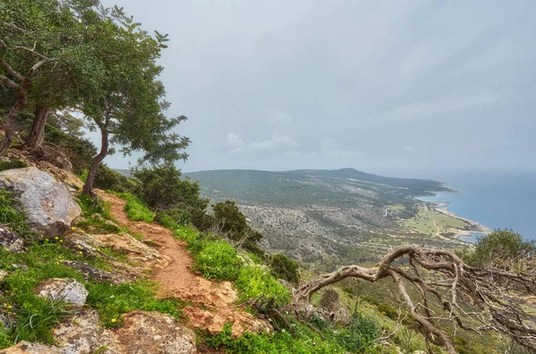 Cyprus Akamas Peninsula National Park Mountain Top — Stock Photo, Image