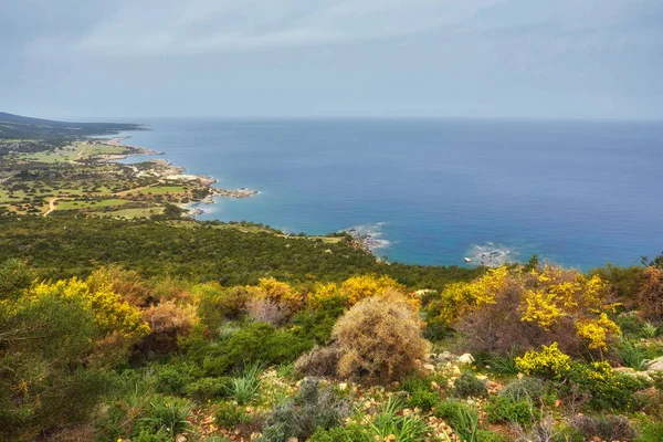 Chipre Parque Nacional Península Akamas Cima Montaña —  Fotos de Stock