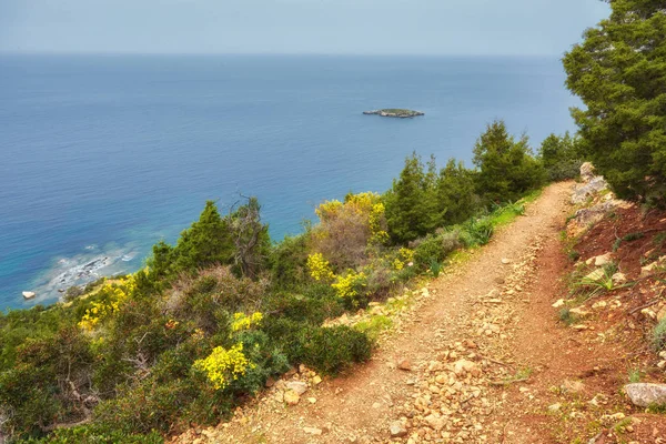 Parque Nacional Península Akamas Chipre —  Fotos de Stock