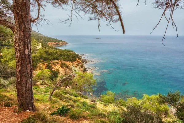 Strand Buurt Van Aphrodite Bad Polis Cyprus — Stockfoto