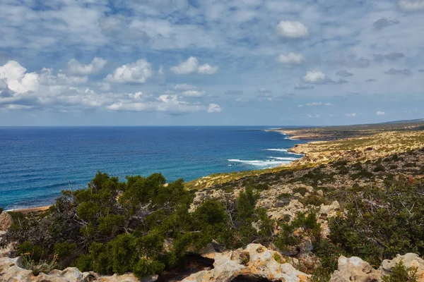 Rocky Shore Akamas Peninsula Cyprus — Stock Photo, Image