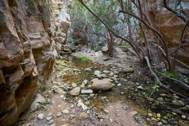 Kıbrıs'ta Avakas kanyonda şaşırtıcı doğal peyzaj. Ulusal güneşli vahşi park kayalıklarla, dağlar, kayalar ve ağaçlar. Derin turist ve gezginler için keşif için doğal Vadisi