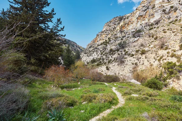 Paisagem Natural Incrível Desfiladeiro Avakas Chipre Parque Nacional Ensolarado Selvagem — Fotografia de Stock