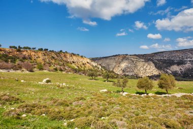 Güneşli ufuk patika Avakas Gorge güneşli büyüme arasında yamaçlarında. Akamas yarımadası, Kıbrıs.