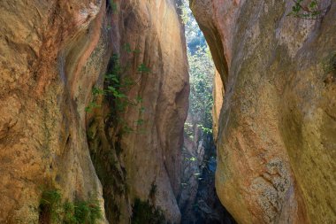 Kıbrıs'ta Avakas Gorge güneşli çok renkli kaya.