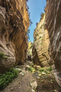 Kıbrıs'ta Avakas Gorge güneşli çok renkli kaya.