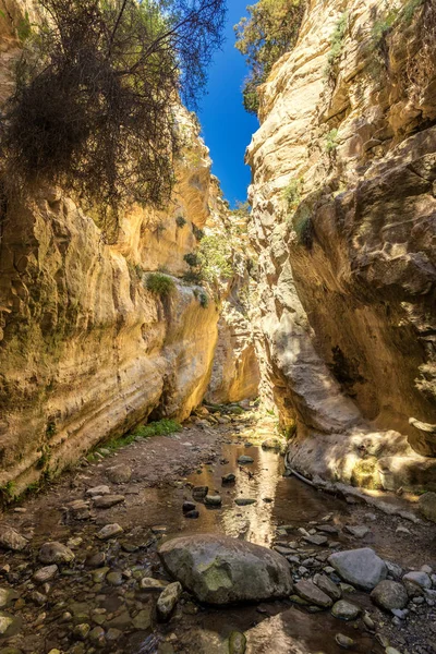 在塞浦路斯的 Avakas 在前景中的小河 阳光照射的岩石是在背景中 — 图库照片