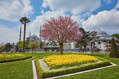 Sultanahmet Camii'nin arka plan mavi gökyüzü açık gün, istanbul, Türkiye