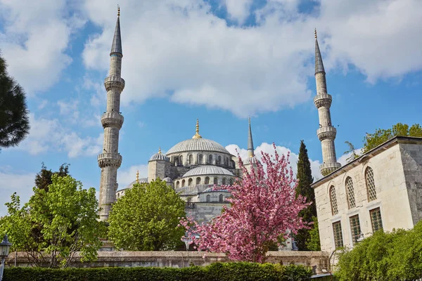 Blue Mosque Art Masterpiece Istanbul Turkey — Stock Photo, Image