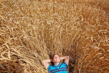 Bir çiftçi veya alında saç çizgisi hipster yalan ve buğday alanında rahatlayın