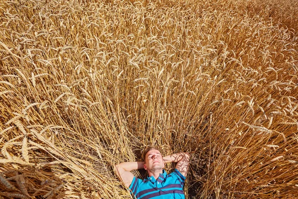 Bir çiftçi veya alında saç çizgisi hipster yalan ve buğday alanında rahatlayın