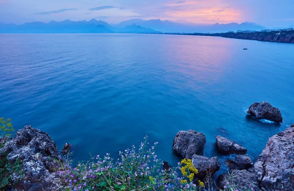 Pôr Sol Antalya Turquia Mar Flores Primeiro Plano — Fotografia de Stock
