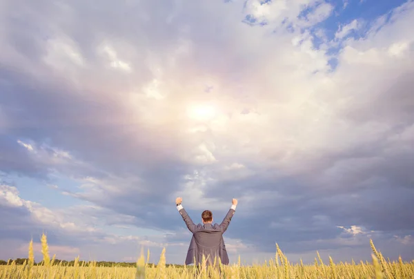 Portret Van Een Zakenman Die Permanent Een Cornfield Observeren Van — Stockfoto