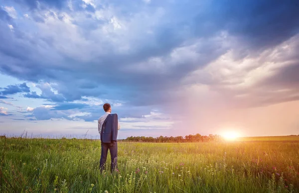 Affärsman Kostym Med Portfölj Stora Gröna Fält Med Blå Himmel — Stockfoto