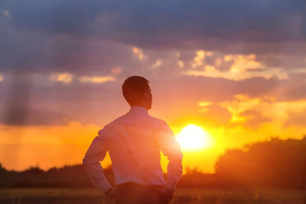 Ung Affärsman Gröna Fält Och Solnedgång — Stockfoto