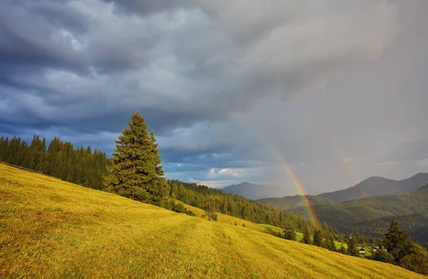 Rainbow and sunshine after rain in mountain valley.