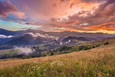dağlarda güzel yaz peyzaj. Sunrise