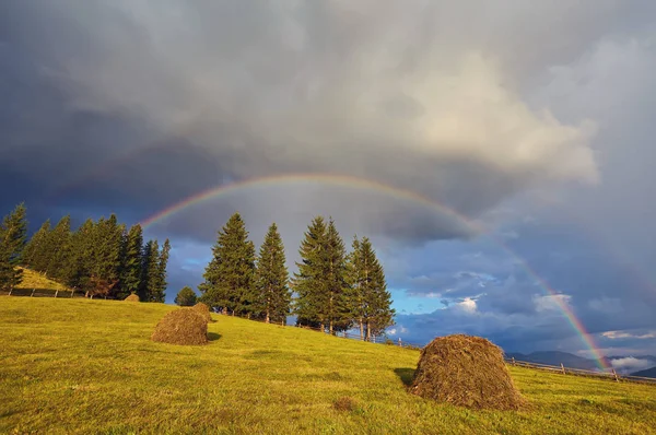 Unbelievable Beautiful Rainbow Snowy Alpine Mountains Pine Forest — Stock Photo, Image