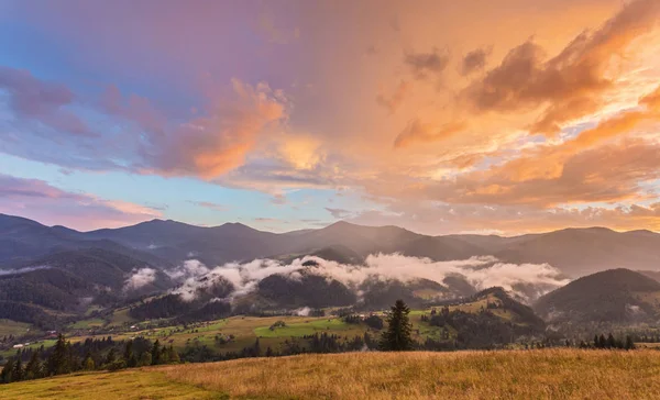 朝の霧山や木々 の行にある風景します — ストック写真