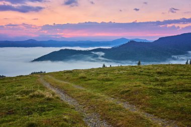 Bileşik manzara. çit yakınındaki dağlarda hillside çayır çapraz yolda. kaç çam ağaçları orman yolun iki yanında