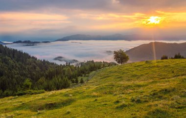 sabah sis Dağları ve ağaçları satırları ile peyzaj