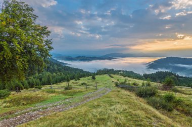 dağlarda güzel yaz peyzaj. Sunrise
