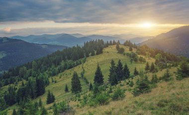 dağlık manzara ormanlık tepeleri ile. bulutlu bir günde güzel yaz sahne