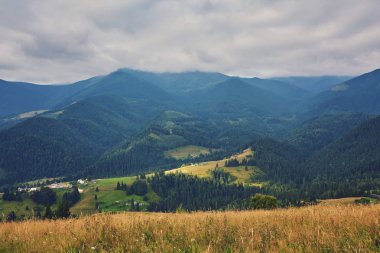 dağlık manzara ormanlık tepeleri ile. bulutlu bir günde güzel yaz sahne