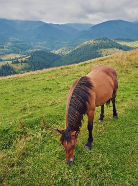 Atları dağ Vadisi. Güzel doğal peyzaj