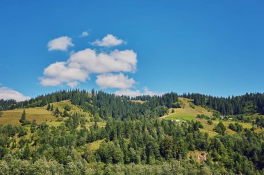 dağlık manzara ormanlık tepeleri ile. bulutlu bir günde güzel yaz sahne