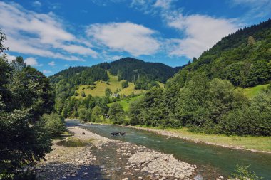 Dağ ormanının derinliklerinde bir nehir. Doğa bileşimi.