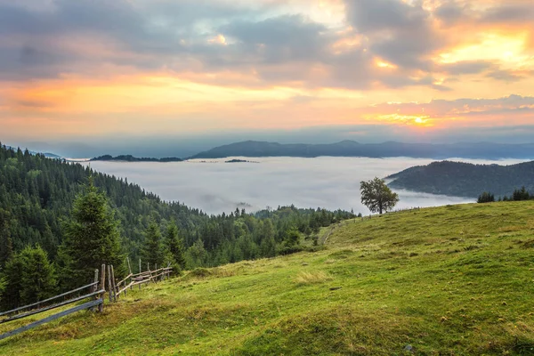 Renkli Yaz Günbatımı Karpat Dağları Nda — Stok fotoğraf