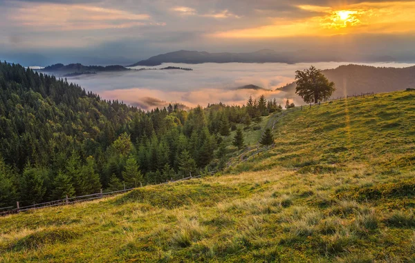 Dağlarda Güzel Yaz Peyzaj Sunrise — Stok fotoğraf