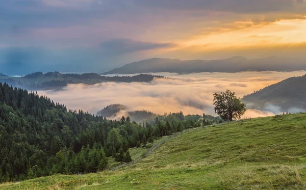 Renkli Yaz Günbatımı Karpat Dağları Nda — Stok fotoğraf