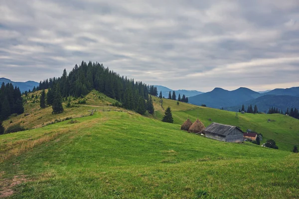 Dřevěný Dům Zelené Louce Horách Dům Nedaleko Starého Lesa Životní — Stock fotografie