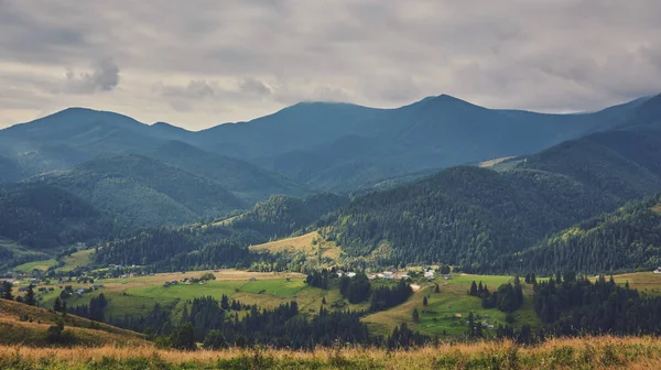 dağlık manzara ormanlık tepeleri ile. bulutlu bir günde güzel yaz sahne