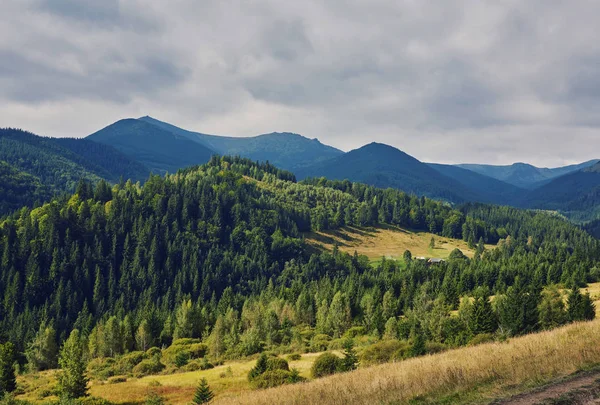 Bergiga Landskap Med Skogsbeklädda Kullar Vacker Sommar Landskap Mulen Dag — Stockfoto