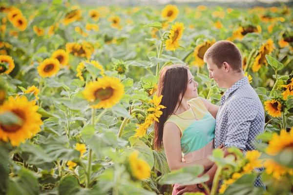 Young Girl Young Man Field Sunflowers — Stock Photo, Image